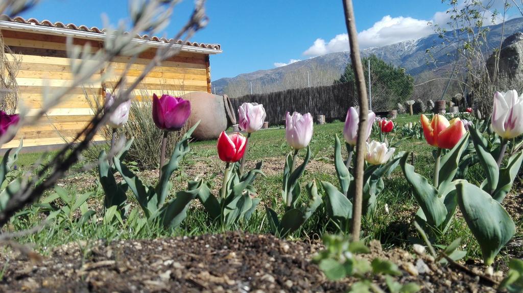 La Cabana Del Alberche Navaluenga Esterno foto